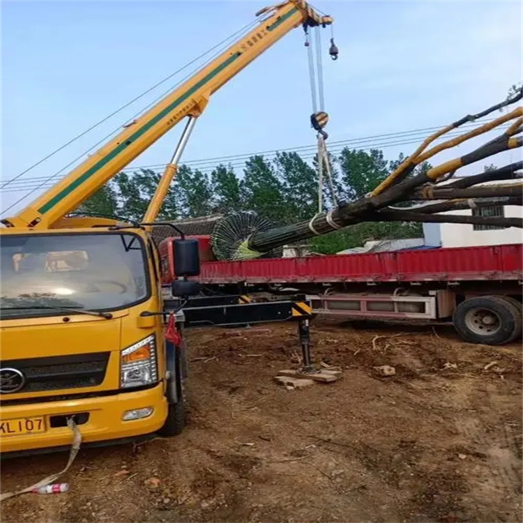 恩施100吨吊车租赁费用怎么算？3大关键因素+省钱技巧全解析